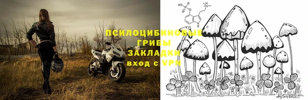 ГАЛЛЮЦИНОГЕННЫЕ ГРИБЫ Киренск