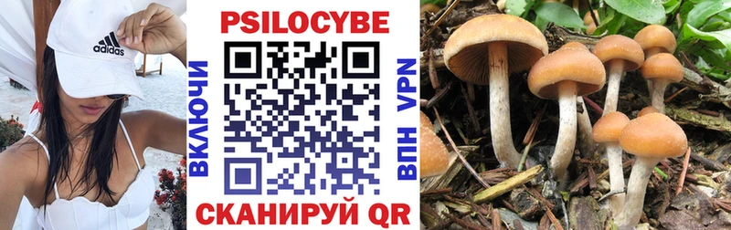 Псилоцибиновые грибы Cubensis  Купить где  Печоры 